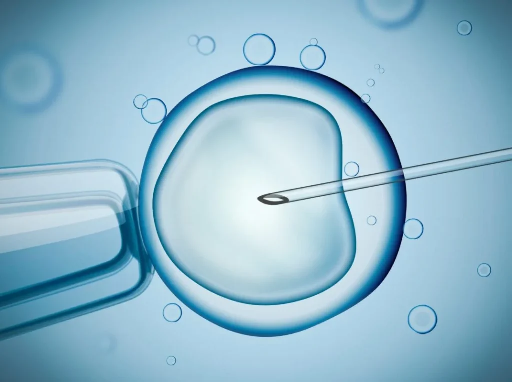 Impact of Modern Skincare on Fertility