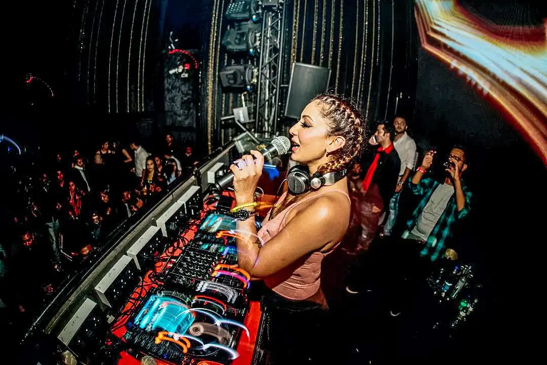 best dj in india 2024